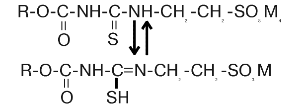 2.gif (4977 bytes)