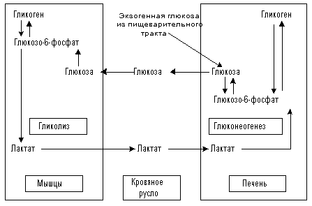 рис 2