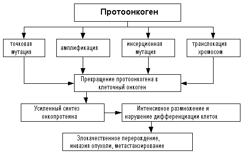 рис. 1