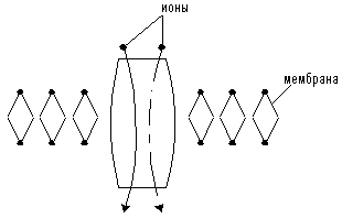 рис. 2