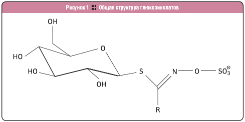 Общая структура глюкозинолатов