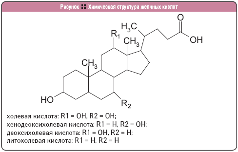 Химическая структура желчных кислот