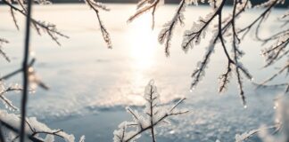 Органосохраняющее лечение опухолей почек: современный подход