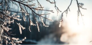 Умные капсулы: будущее диагностики и лечения заболеваний