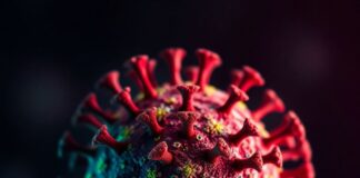 В Китае найден вирус в морепродуктах, опасный для зрения