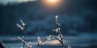 Метеоризм как сигнал серьезных заболеваний кишечника