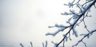 Риски и перспективы иммунотерапии в лечении рака печени