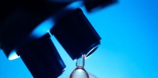 Иммунотерапия меланомы: новые подходы и результаты испытаний