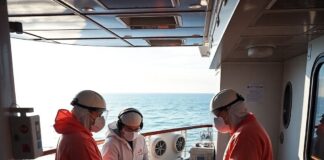 Вспышка хантавируса на круизном лайнере: что нужно знать